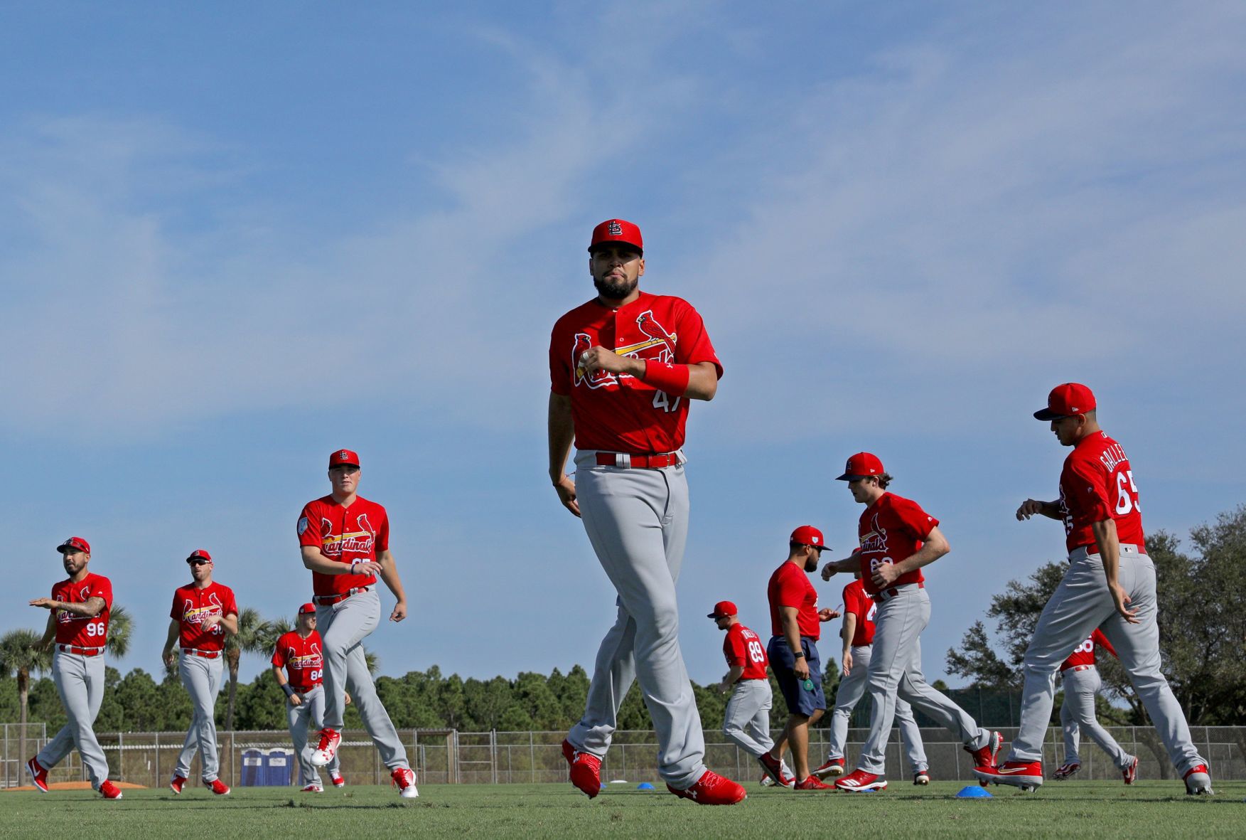 2019 Cardinals spring training